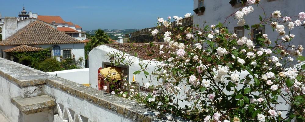 Carmona Leilighet São Martinho do Porto Eksteriør bilde
